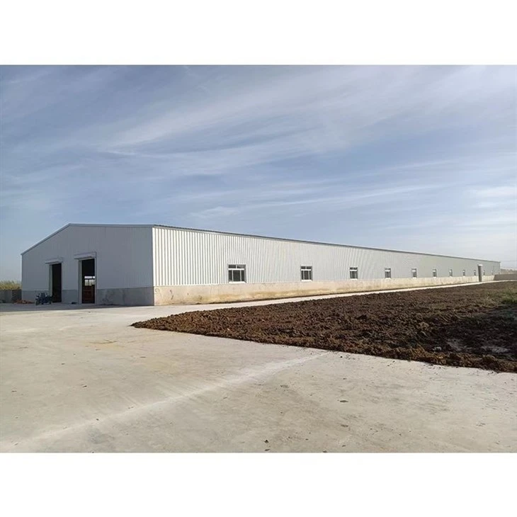 Steel structure poultry shed